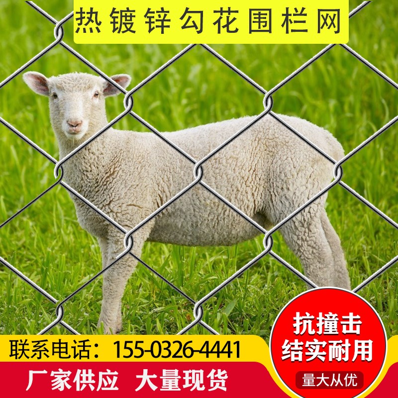 热镀锌铁丝网勾花网围栏家用圈牛羊养殖网养鸡鸭钢丝网果园护栏网