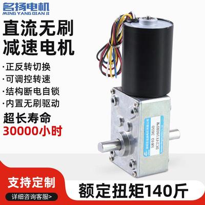 5840-3650蜗轮蜗杆5线双轴直流无刷减速电机12v24v微型可调速马达
