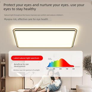 包安装客厅主灯现代简约大气大厅led吸顶灯具全屋2025款广东中山