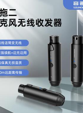 音画师无线发射接收器系统二发一收舞台乐器有线动圈麦变无线话筒