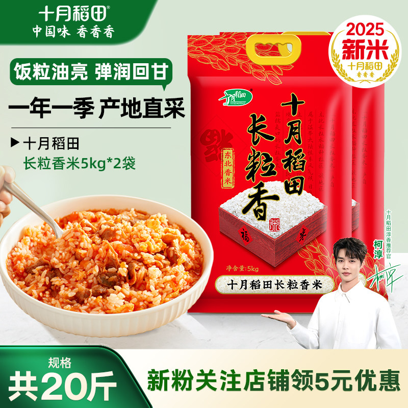 2025新米十月稻田长粒香大米5kg*2袋装东北米有嚼劲饭粒油润真空