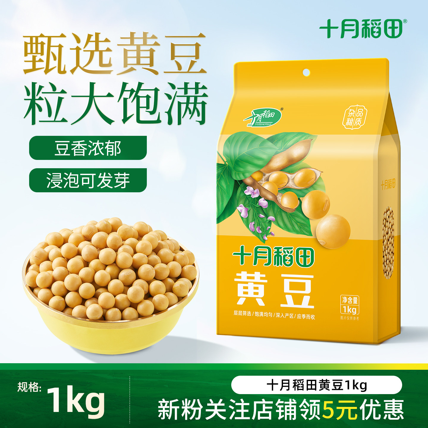 十月稻田东北黄豆大豆可生豆芽打豆浆粗粮黄豆真空包装