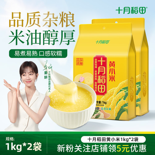 十月稻田黄小米1kg色泽金黄