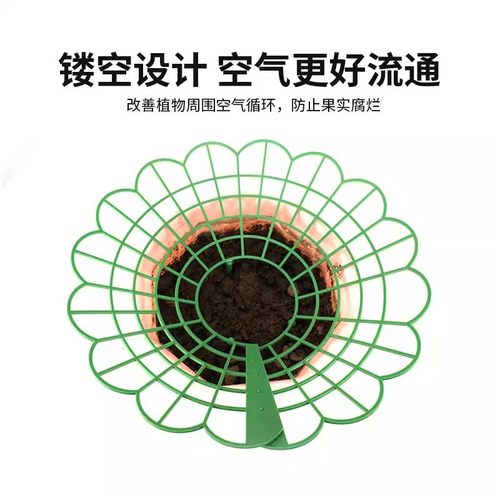 家庭草莓种植支架托架防腐烂防倒