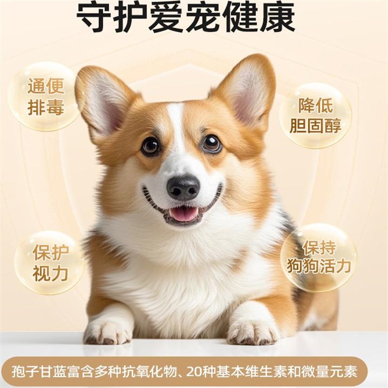 狗狗零食孢子甘蓝冻干宠物u拌粮蔬菜狗狗训练奖励大小型犬磨牙零