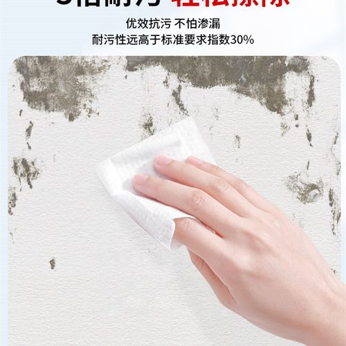 水性罩面漆室内墙面乳胶漆透w明光油防水清漆墙绘保护漆外墙罩光