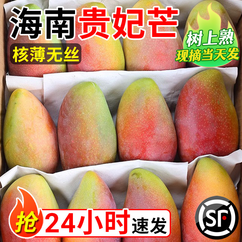 海南贵妃芒新鲜芒果10斤水果当季整箱树上熟红金玉青煌大台辣椒芒