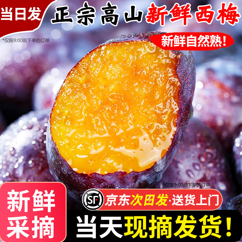 正宗西梅新鲜水果当季整箱新鲜李子甜蓝蜜特大法兰西西梅礼盒顺丰