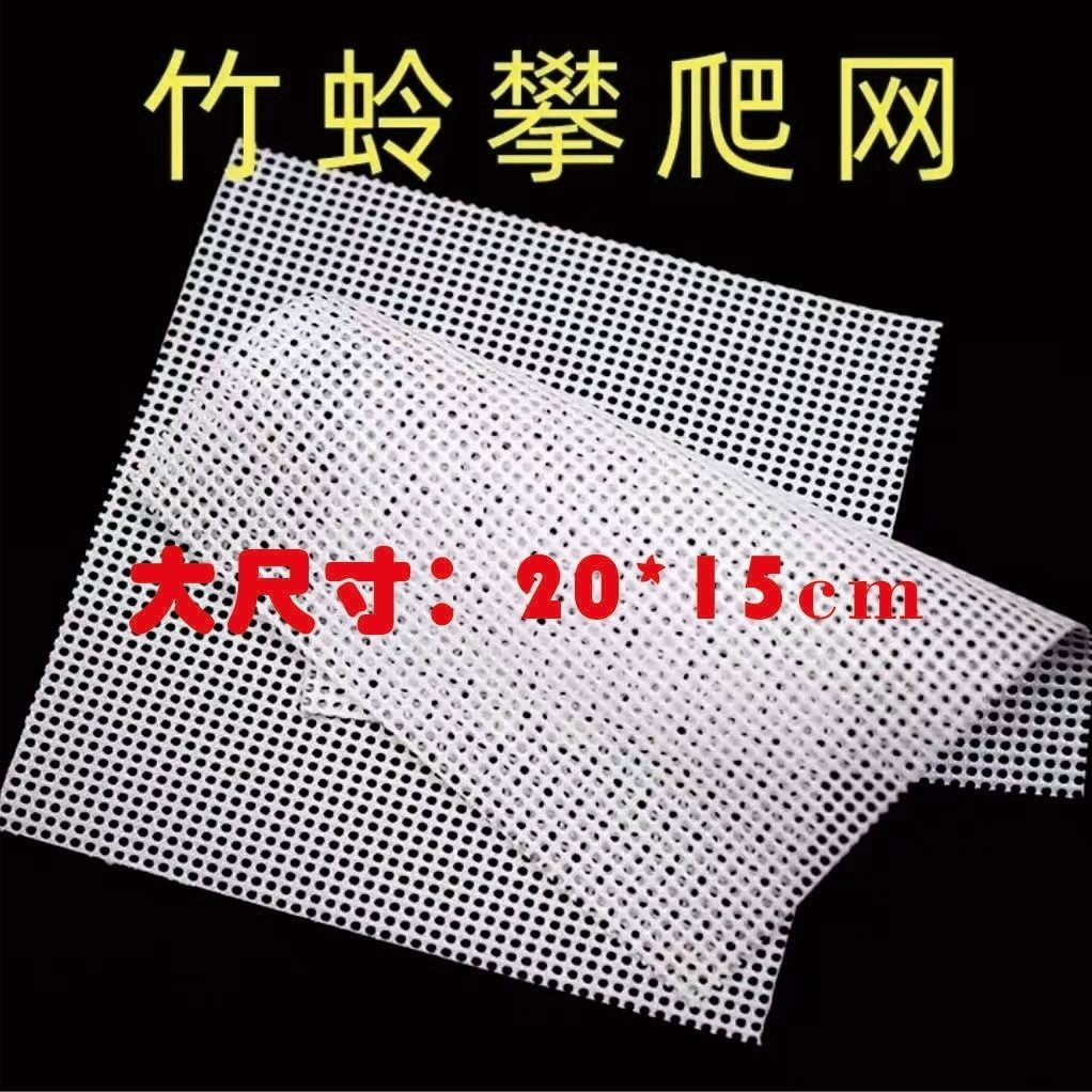 鸣虫爬虫网防滑攀爬蝈蝈竹蛉筒虫网虫具用品安全无味大尺寸
