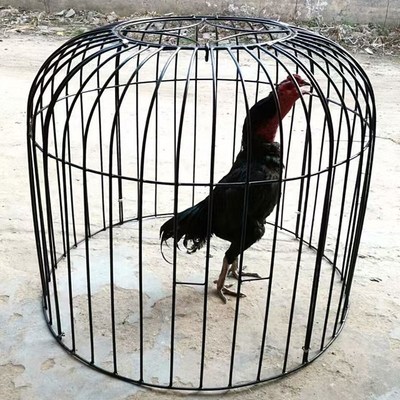 斗鸡笼子可折叠斗鸡罩笼斗鸡铁笼子加粗斗鸡手提R笼鸡笼大号铁笼