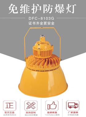 广照型带灯罩隔爆灯50W60W80W100W120W150W200W支架吸顶式吊杆式