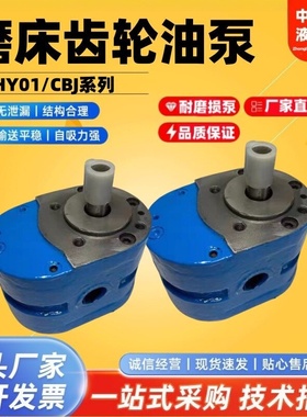 HY01-8X15/12X20/18X25/25X25/3X5*10齿轮油泵50*25/70*25/100*25