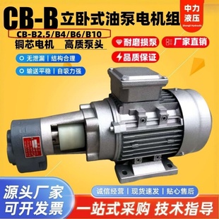 CB-B6/CB-B10/CB-B4/CB-B2.5JZ齿轮油泵电机润滑油泵0.37/0.55KW