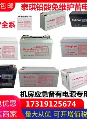 Techfine 泰琪丰蓄电池UD12V-17AH安防7.2AH9A12A24A38A40A65A100