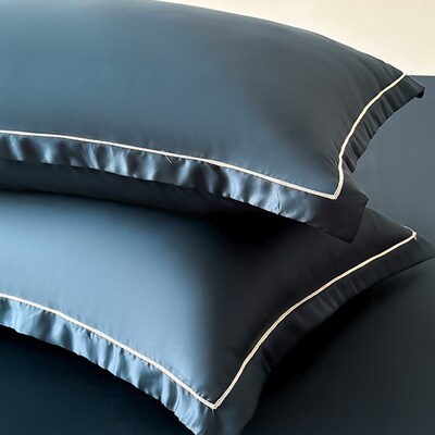 夏季天丝枕套一对装40x60成人冰丝枕头套48cmx74cm大枕芯套50x80.