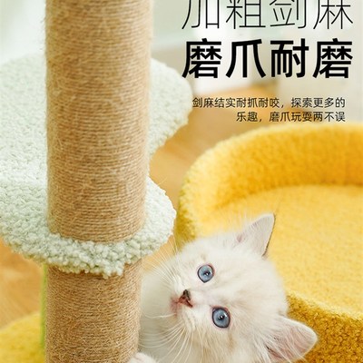 猫爬架猫窝猫树一体猫抓板猫架树干架子玩具实木通天柱小型猫咪跳