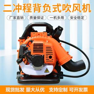背负式 森林灭火器大马力风力灭火机小区绿化落叶吹风机除湿吹干机