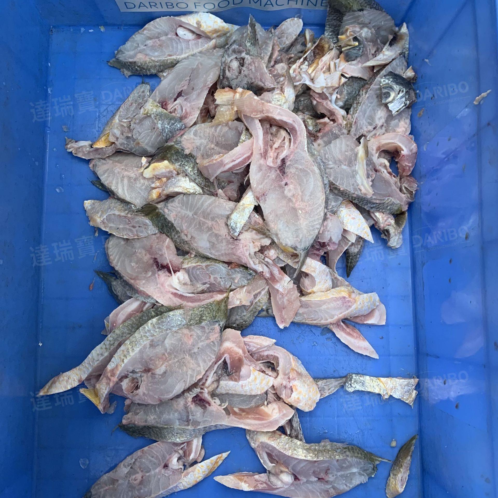 W切鱼肉鱼段机不锈钢渔业加工设备 多春鱼整条鱼免去鱼头切鱼段机