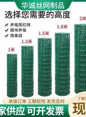荷兰网防护铁丝网绿色围栏养殖围网养鸡菜园钢丝硬塑隔离栅栏