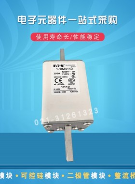 170M4141 4142 4143 4144 4145 4146 4147 4158熔断器保险丝现货