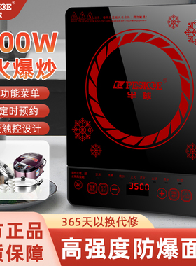半球多功能大功率电磁炉灶