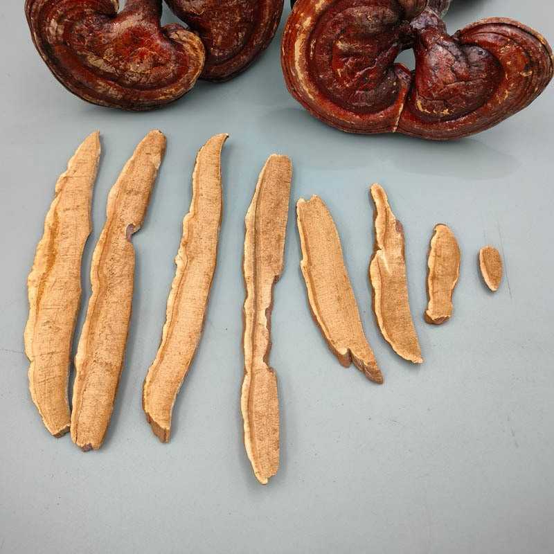 供应安徽大别山金寨 赤灵芝片 零售 林中灵 丹芝琼珍非紫灵芝