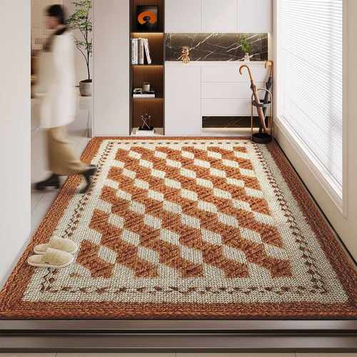 地垫入户门进门地毯门口家用门垫防滑客厅入户高级玄关脚垫耐脏