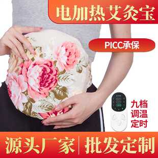 帝宗电加热香身艾灸宝 艾绒包艾草热敷包艾灸护腰宝 盐袋肩颈艾灸