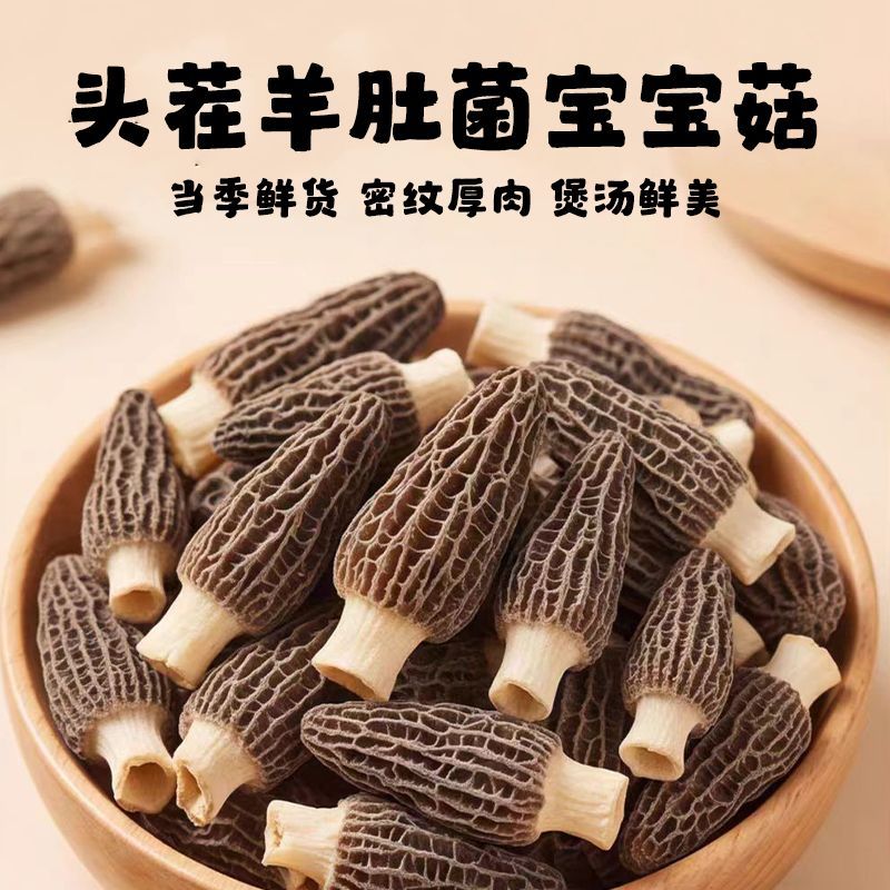 巨鲜羊肚菌四川金堂茬滋