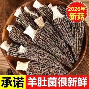 正宗云南高山精选羊肚菌
