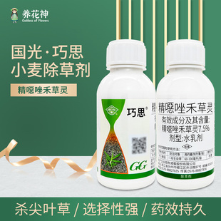 国光水乳剂巧思冬小麦田一年生杂草7.5%精恶唑禾草灵正品药除草剂