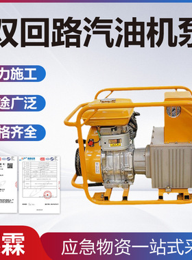 高低压双速汽油机液压泵HPE-700双回路汽油机泵自动切换油压泵