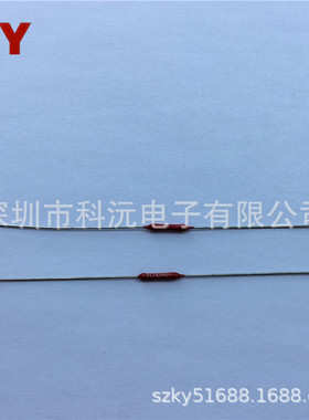 RE-1/4-100-B-C7 高电阻 100R 0.5W 低温漂 0.1% 红色铜脚