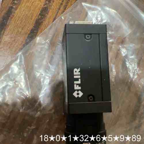 FLIR灰点相机GZL-CL-22C5M-c