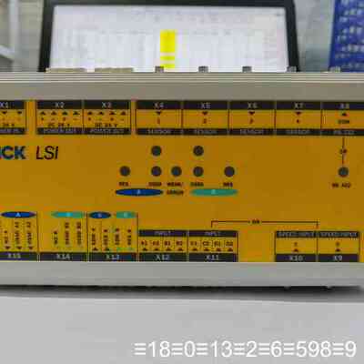 安全模块LSI101-112(1016063)议价