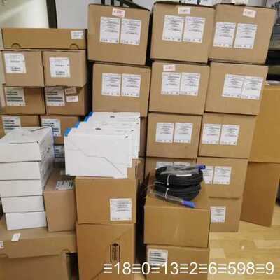 CPS11-2AA2ESK EHph电极，