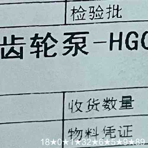 HG00-13-10-01R-VPC海特克油泵
