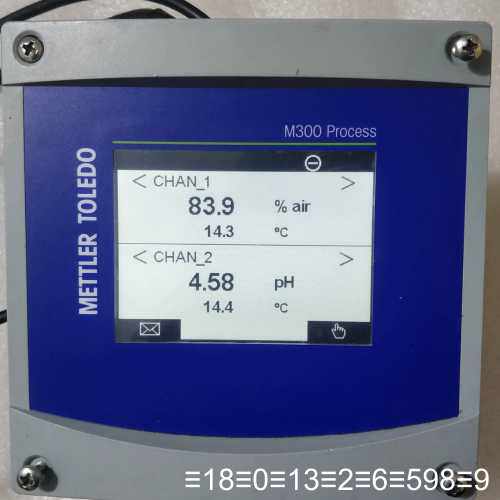 M300 Process变送器，双通道，物料号：302
