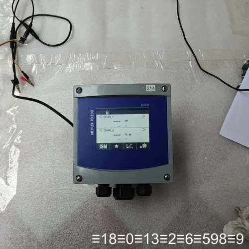 M300 Process变送器，双通道，物料号：302