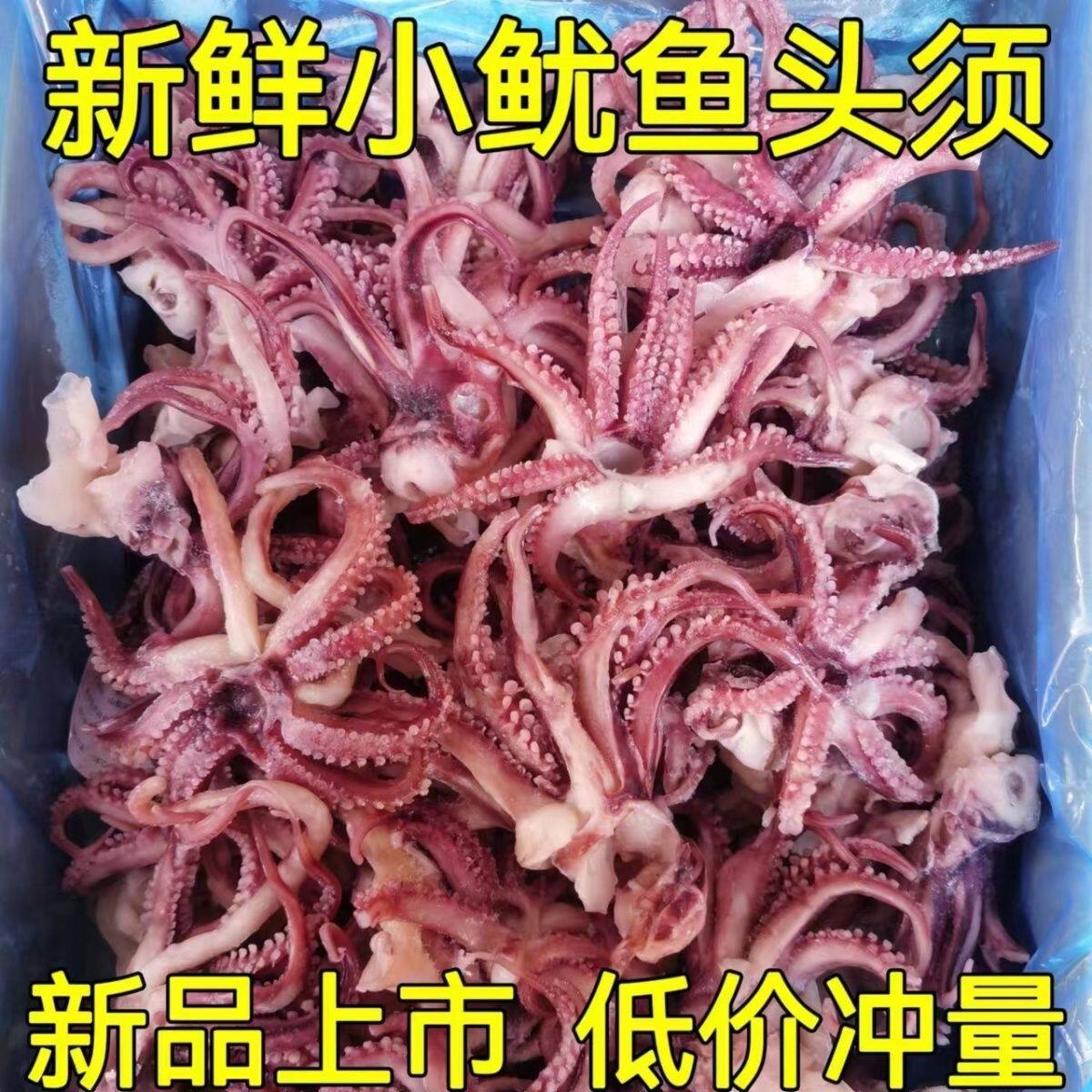 小鱿鱼头须新鲜速冻鱿鱼头鱿鱼爪八爪须小鱿鱼须烧烤餐饮食材商用