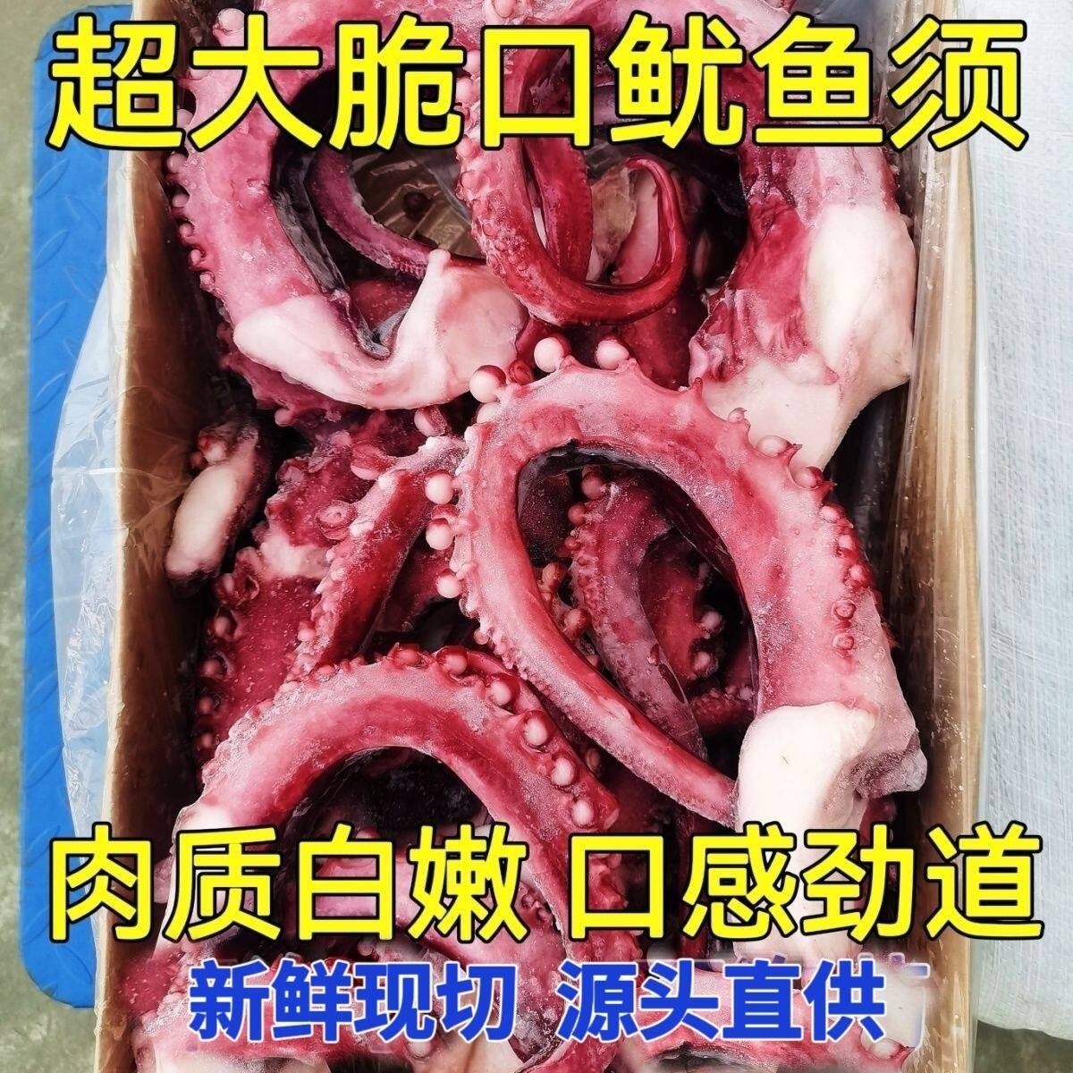 特大章鱼须超大鱿鱼须脆口章鱼足八爪鱼腿铁板烧烤刺身章鱼小丸子