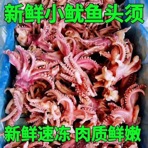 小鱿鱼须新鲜冷冻鱿鱼头小八爪须鱿鱼爪鱿鱼须烧烤炒菜火锅食材