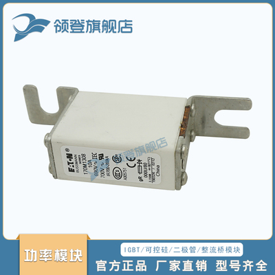 熔断器保险丝170M1308 1309 1310 1311 1312 1313 1314 1315 1315