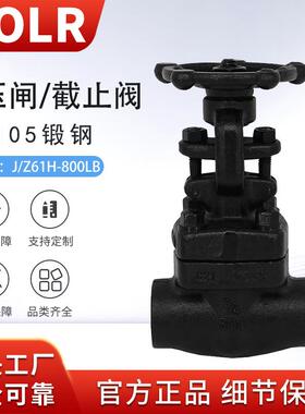 A105N锻钢承插焊Sw螺纹NpT高温高压闸阀截止阀Z/J1161H800LB