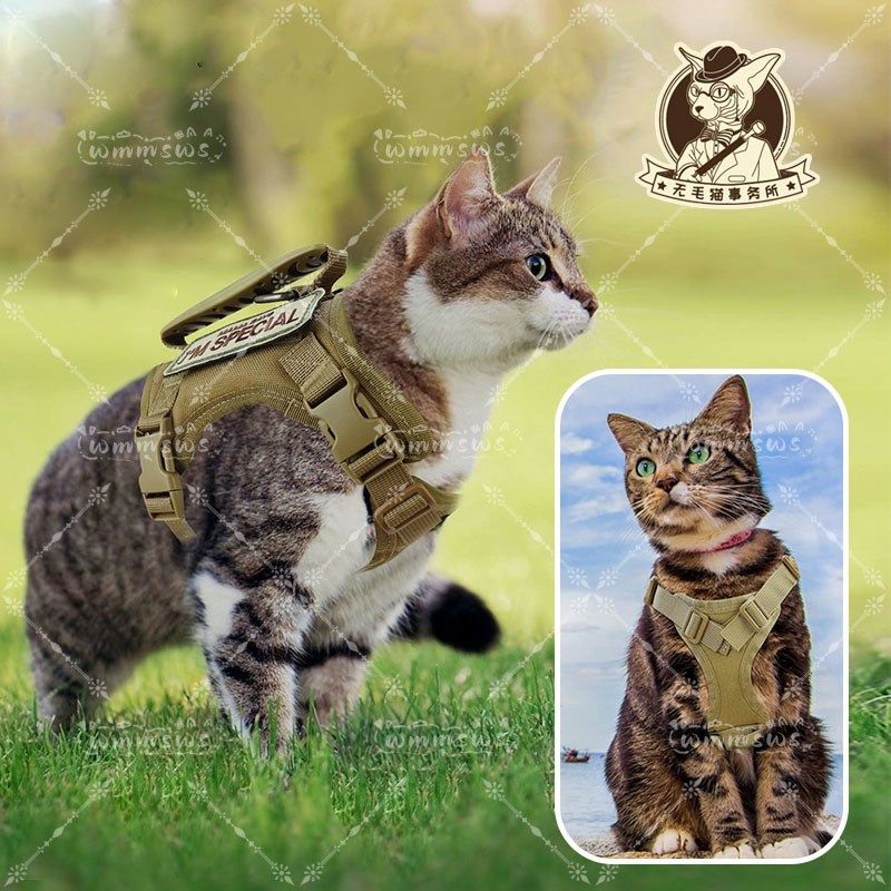 无毛猫宠物猫咪外出战术猫背带套装可调节工字型防挣脱猫咪牵引绳,宠物/宠物食品及用品,猫牵引绳,淘宝优惠券,粉丝福利购,淘宝优惠卷