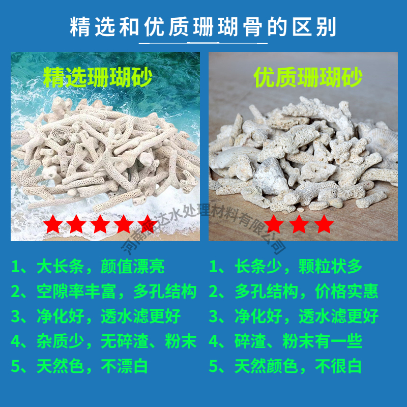 珊瑚砂滤材鱼缸水族水产过滤箱海鲜池滤筒造景培养菌专用珊瑚骨石