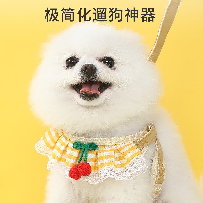 博美狗狗牵引绳蕾丝围脖遛狗绳小型犬胸背带泰迪比熊贵宾小狗链子