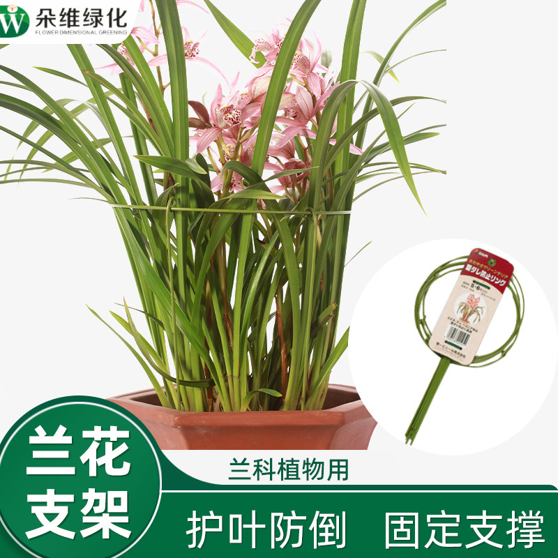 蟹爪兰专用支架兰花架朱顶红花架子盆栽支伸缩杆单层护叶花架撑架