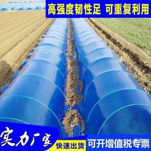 小拱棚架子塑料杆防冻小工棚有弹性纤维棒架杆保温棚防雨支架小型