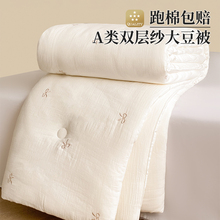 优选A类双层纱蝴蝶结大豆纤维被冬被加厚被子单人被褥被芯通用春